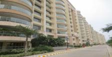 Fully Furnished 5 BHK Luxurious Apartment size of 8800 Sq.Ft. Available for Rent in Ambiance Catriona NH-8 Gurgaon